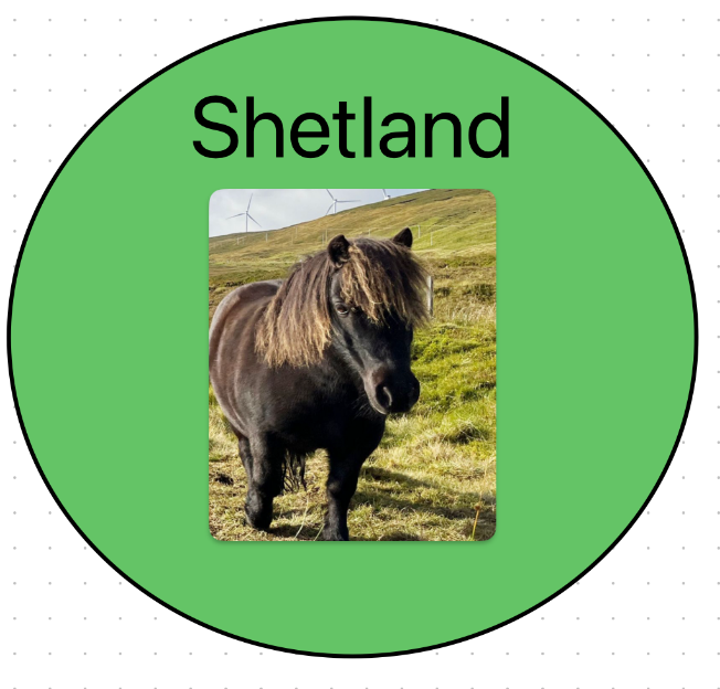 Shetland Logo.png